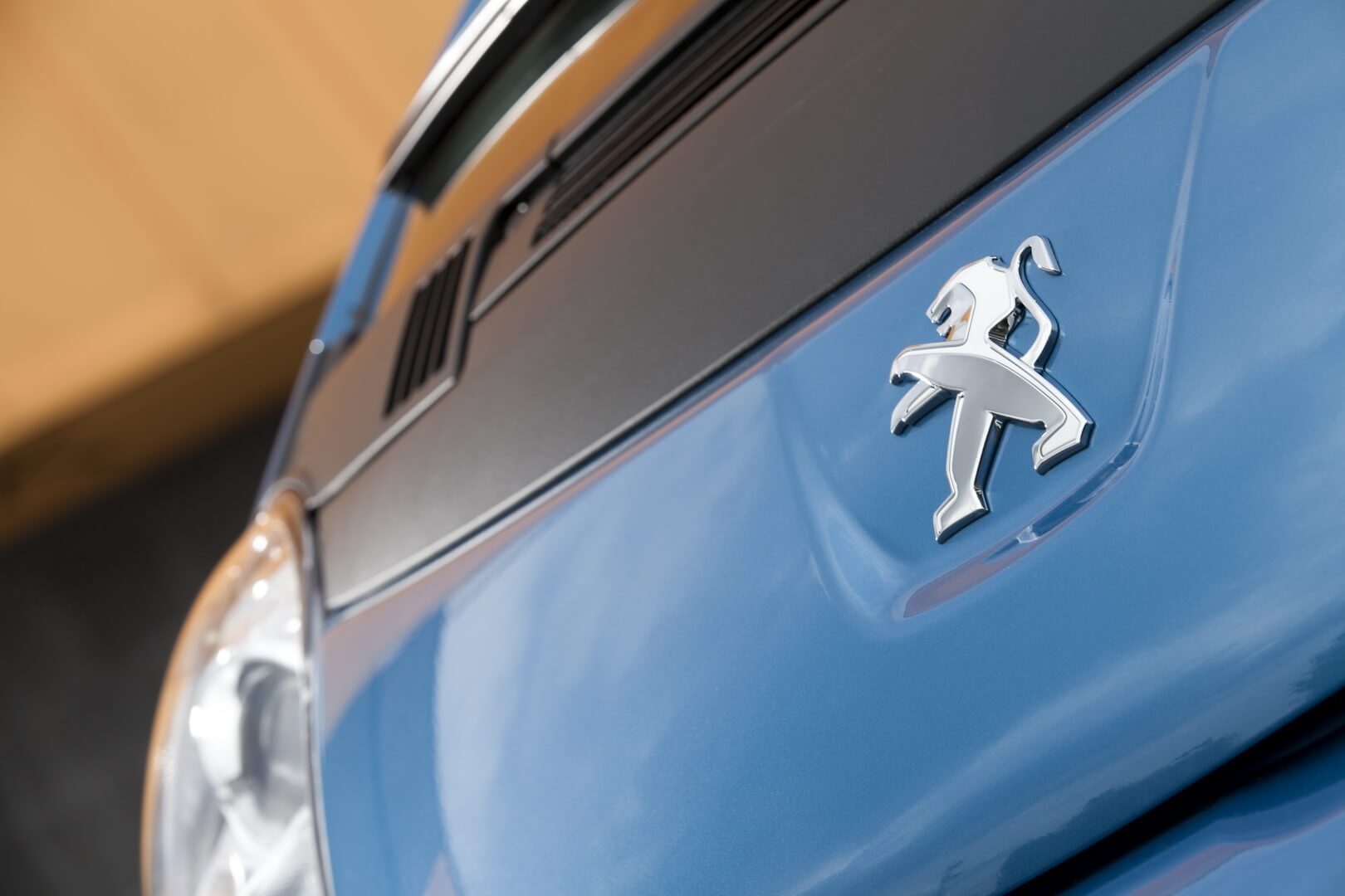 Фотография экоавто Peugeot iOn - фото 10