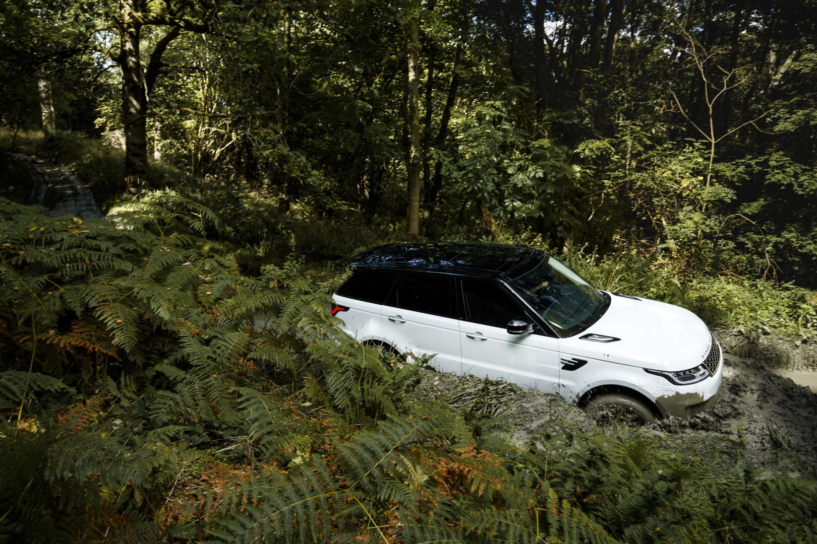 Фотография экоавто Range Rover Sport plug-in hybrid P400e - фото 6