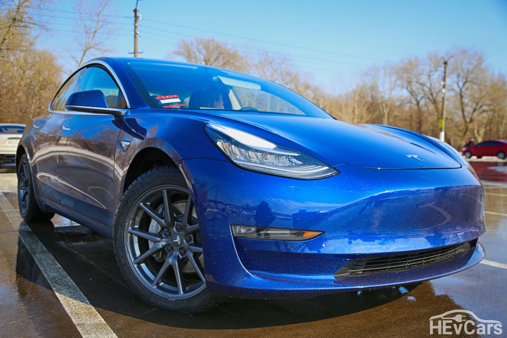 Выпускаемая сейчас Tesla Model 3 Long Range с премиальным пакетом опций
