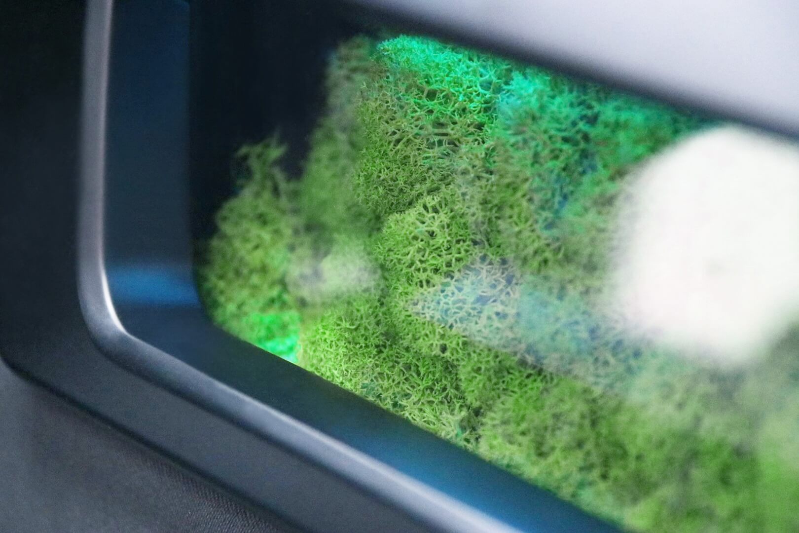 Приборная панель автомобиля оснащена мохом для фильтрации воздуха