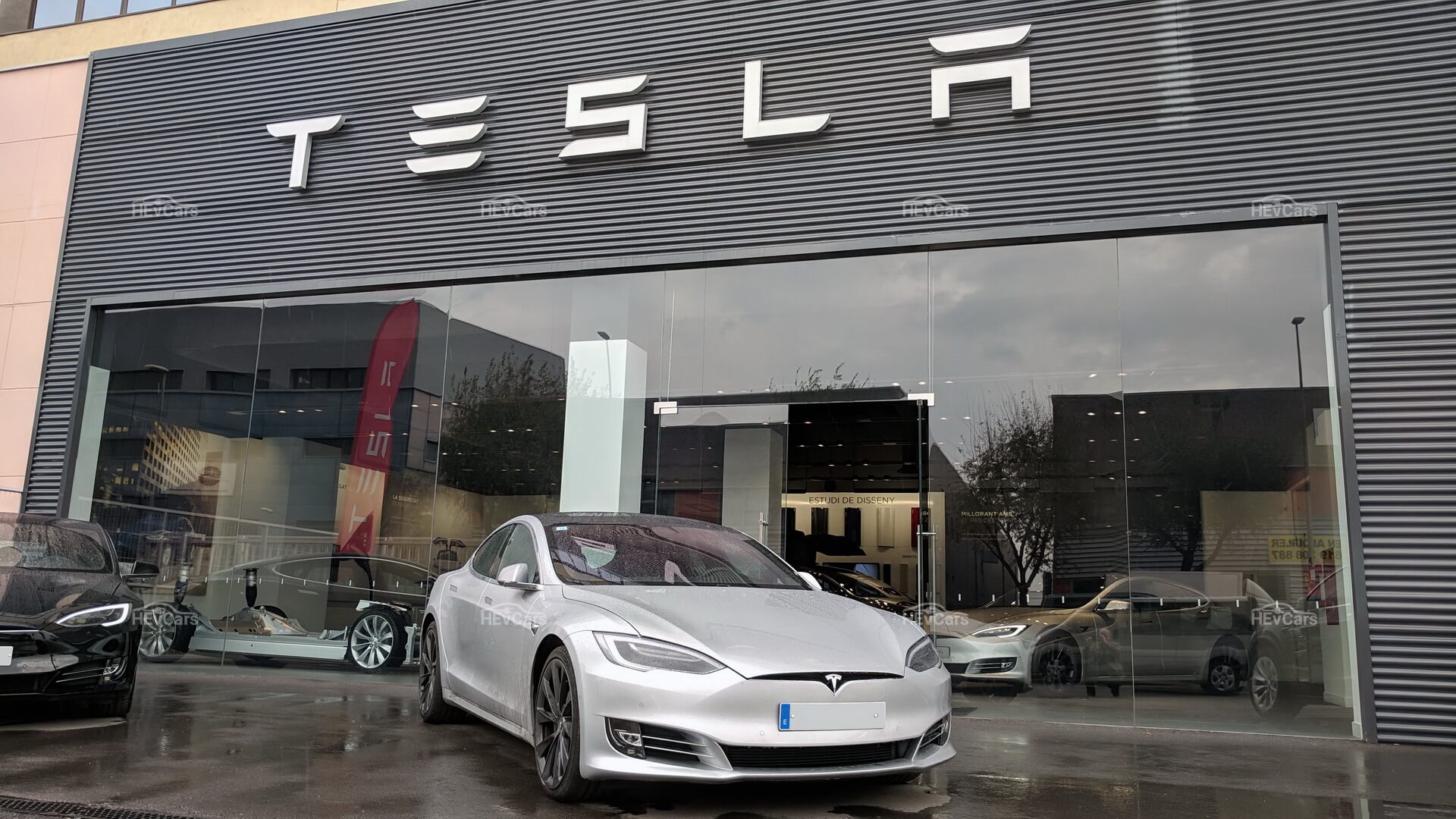 Официальный салон Tesla в Украине: согласится ли на это Илон Маск? — HEvCars