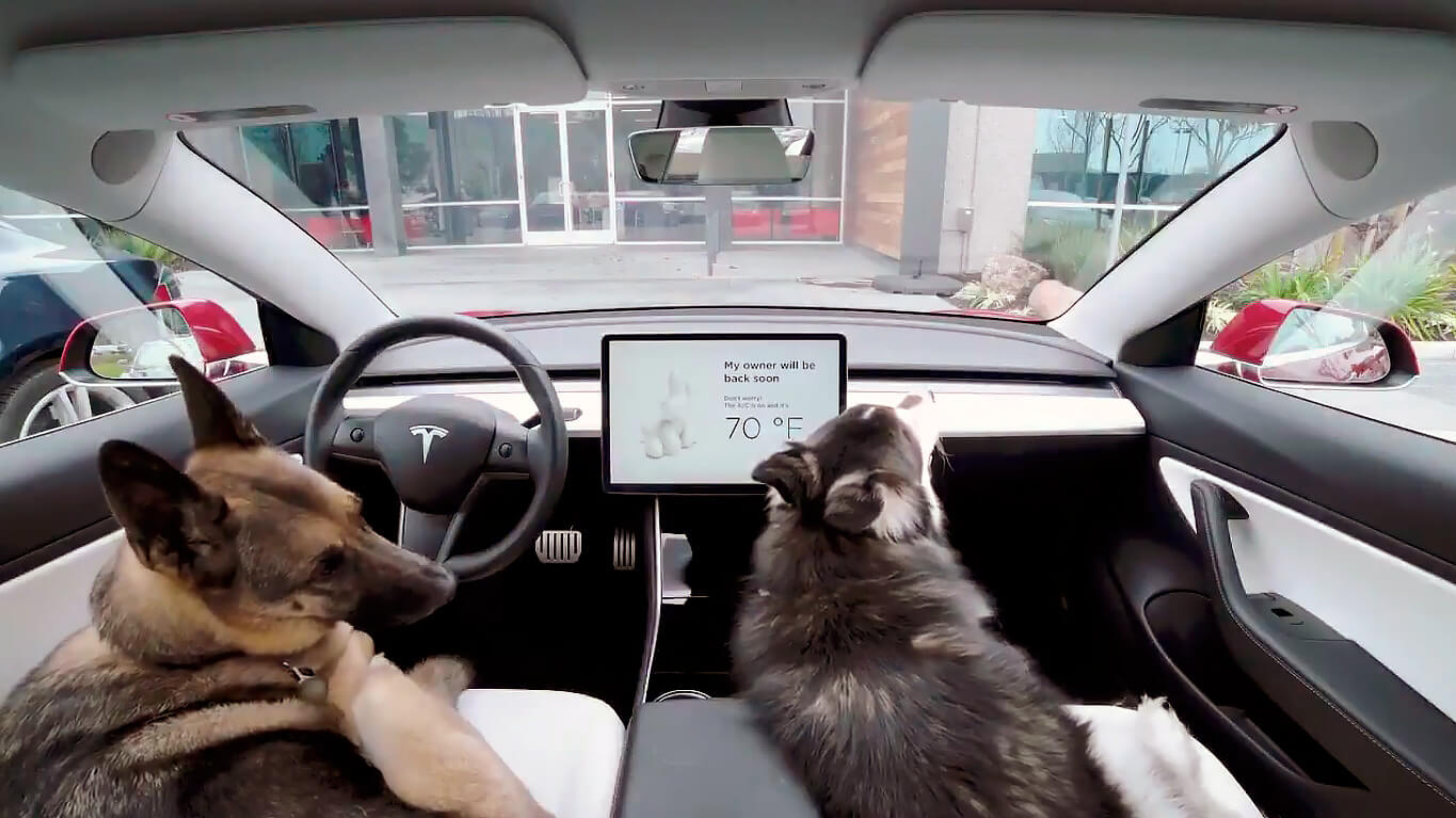 Tesla позаботилась о питомцах клиентов выпустив режим «Dog Mode»