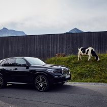 Фотография экоавто BMW X5 xDrive45e - фото 11