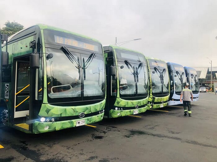 BYD лидирует по продажам электрических автобусов в Латинской Америке